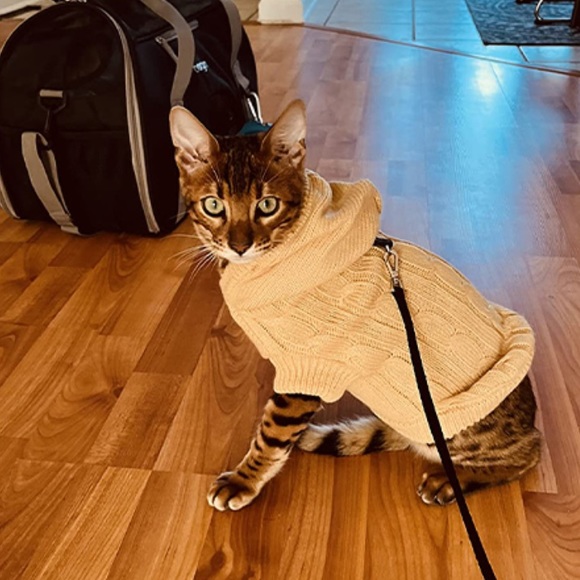 💫 Pupteck Cat Sweater Knitwear - Picture 9 of 11